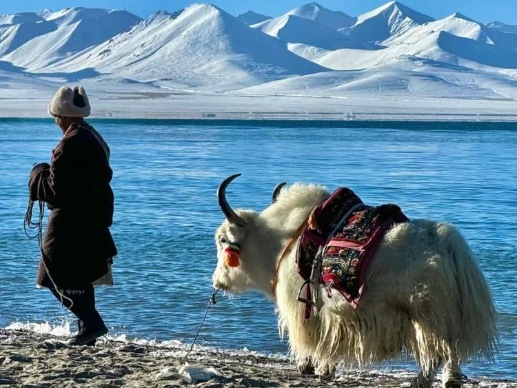 西藏旅游