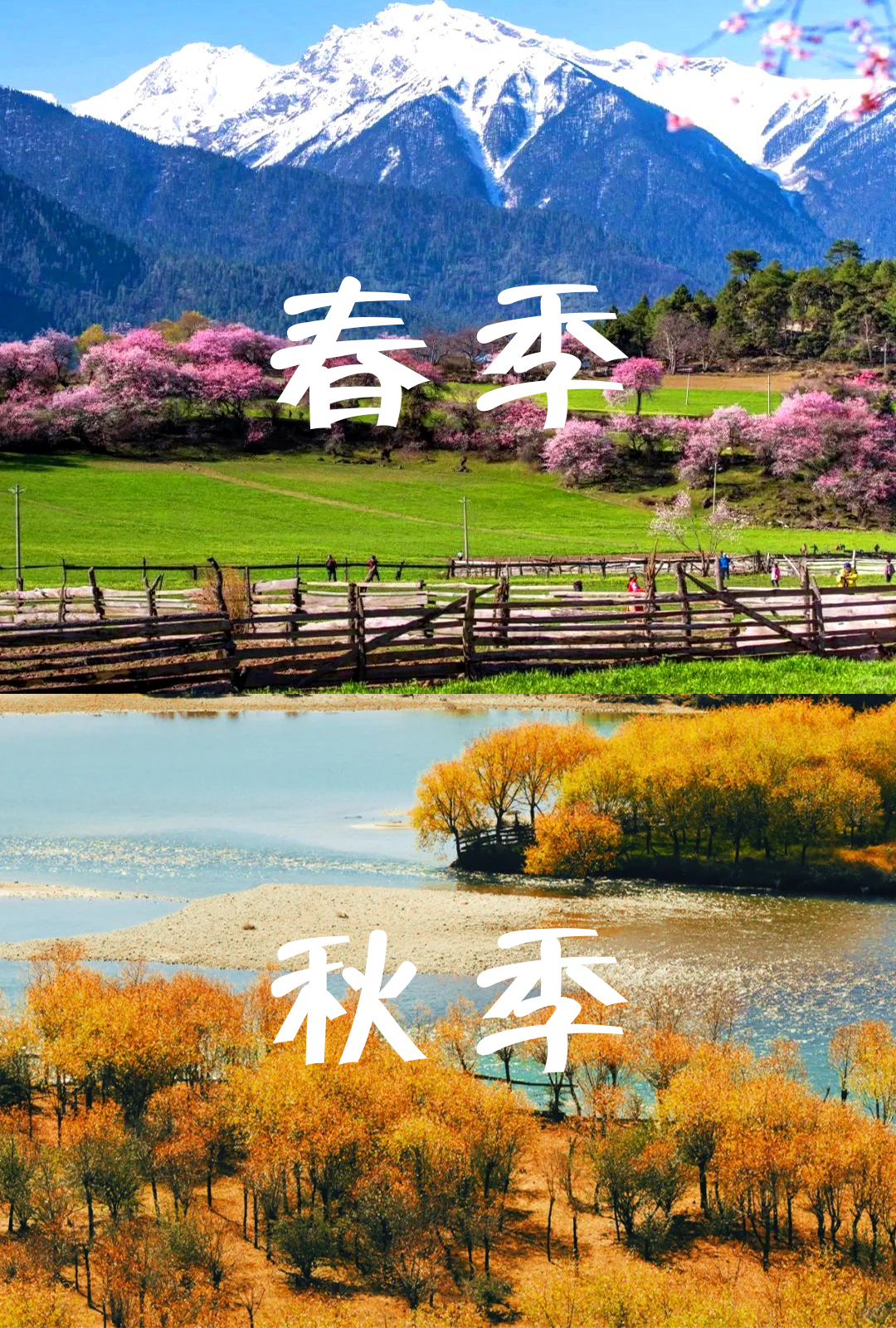 馬來西亞西藏旅遊