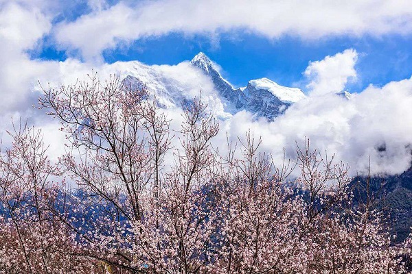 拉薩+林芝+珠峰+納木錯 11天10晚西藏旅遊